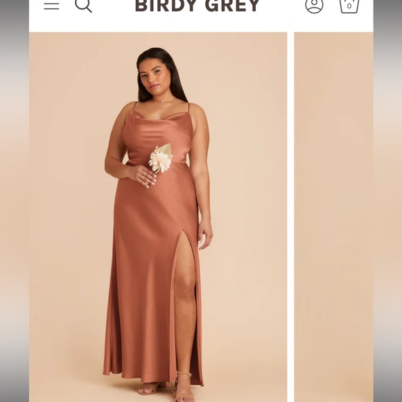 Birdy Grey Terracotta Wedding Dress - Picture 1 of 10